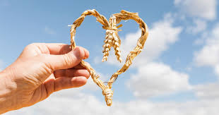 Brokkoli Blumenkohlauflauf